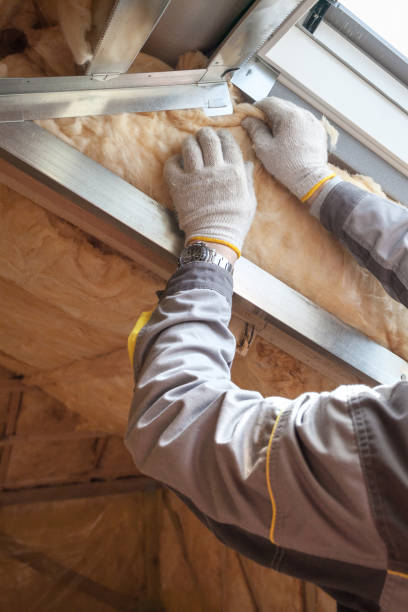 Best Insulation Installation Services in Grasonville, MD